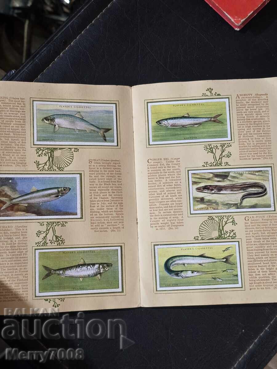 Παράδοση Άλμπουμ της John Player & Sons με τίτλο «Θαλασσινά ψάρια»!