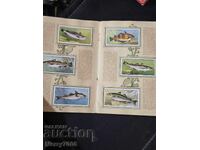 John Player & Sons album, titled "Sea Fishes"!