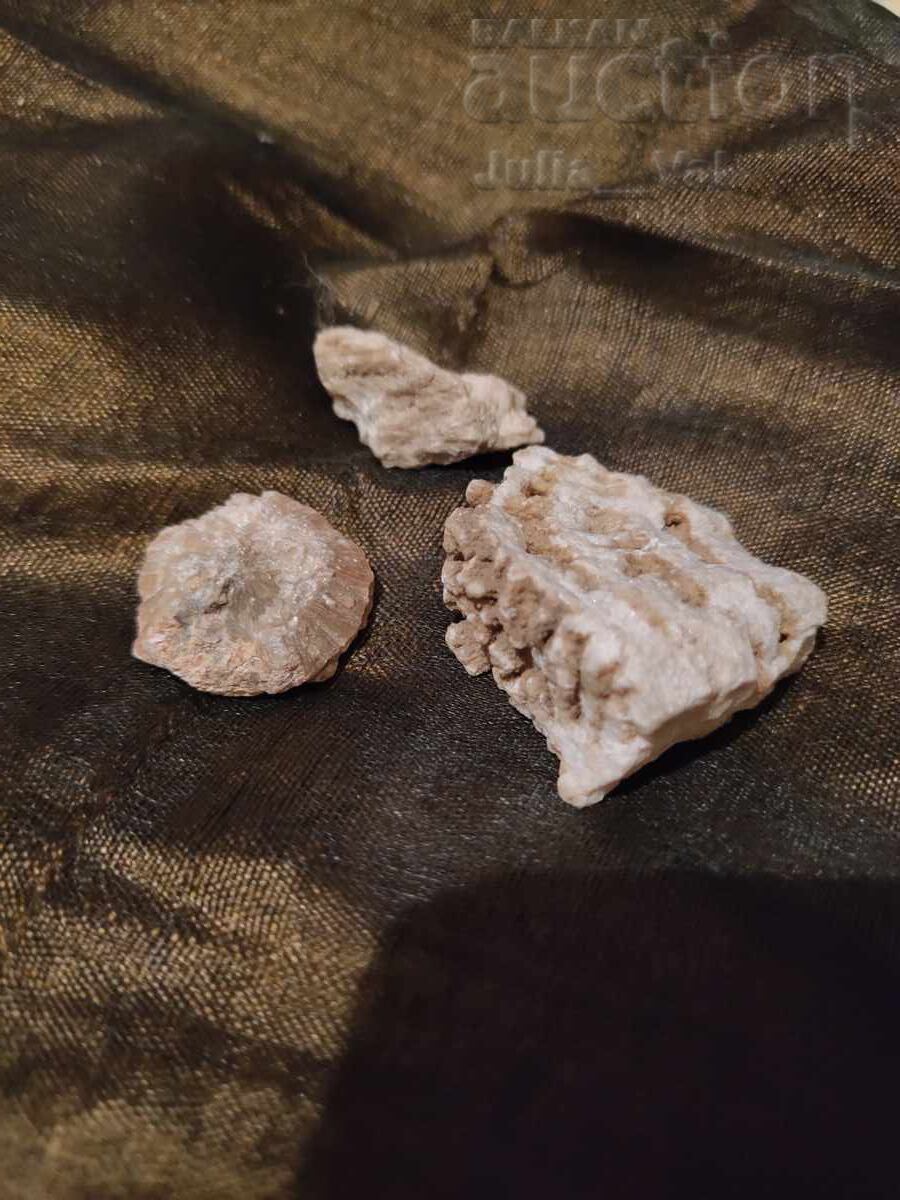 Coral 30 grame BZC de la 0.01 cenți