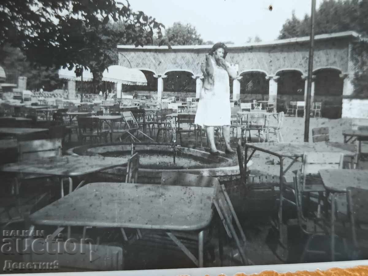 Licitație Tânără într-o grădină de vară a unui restaurant