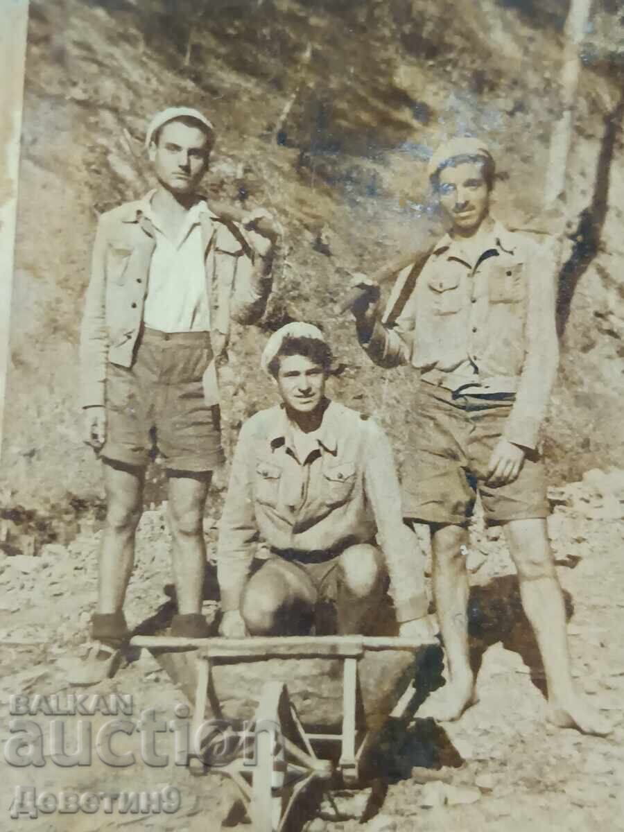 Licitație Trei țărani gâgăi