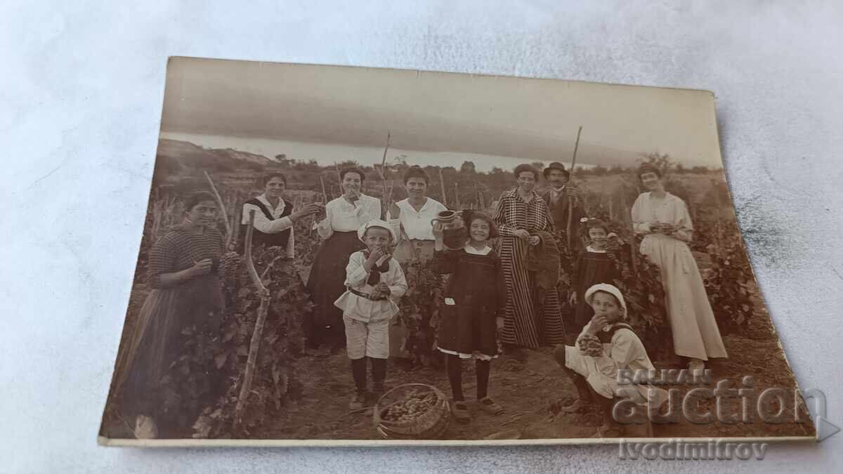 Fotografie bărbați, femei și copii la podgorie