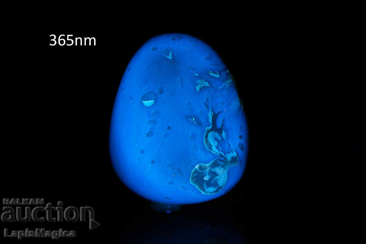 Blue amber from Indonesia, 56.5ct polished