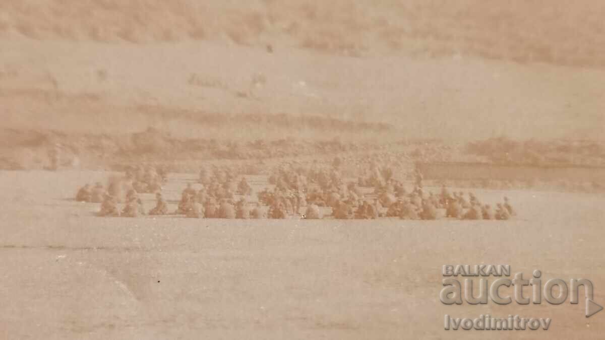 Fotografie Ofițeri și soldați pe front P M C cu preț € 2.46 | 4.81 BGN