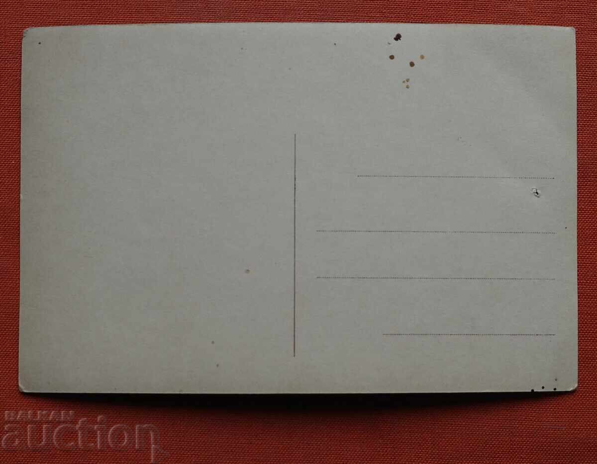 Чарлсъ Дарвин с цена € 5.00 | 9.78 лв.