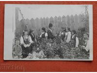 Традиционни Носии