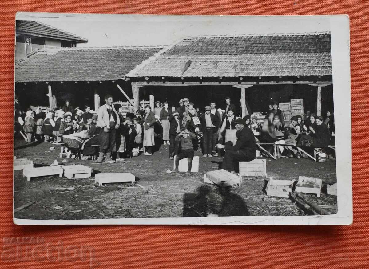 Δεν υπάρχει τίτλος για μετάφραση