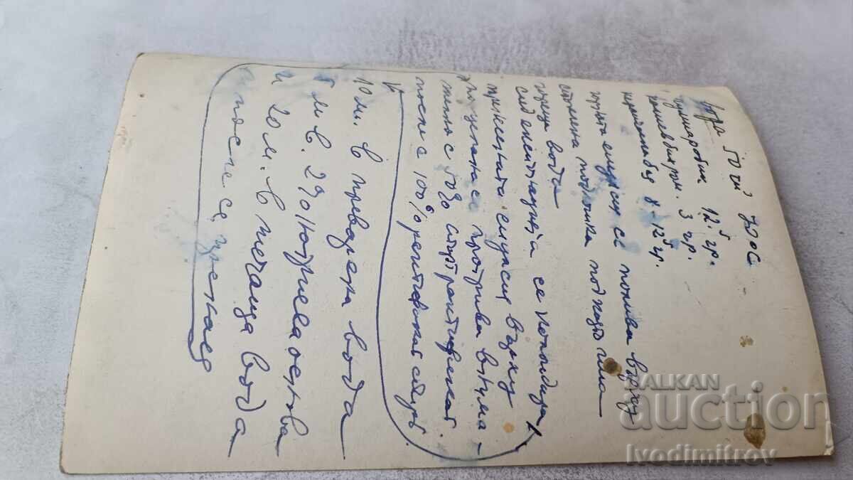 Снимка Момиче ядящо ягоди с цена € 1.17 | 2.29 лв.