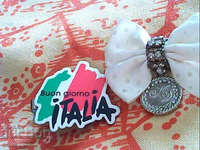 красиви брошки - 6