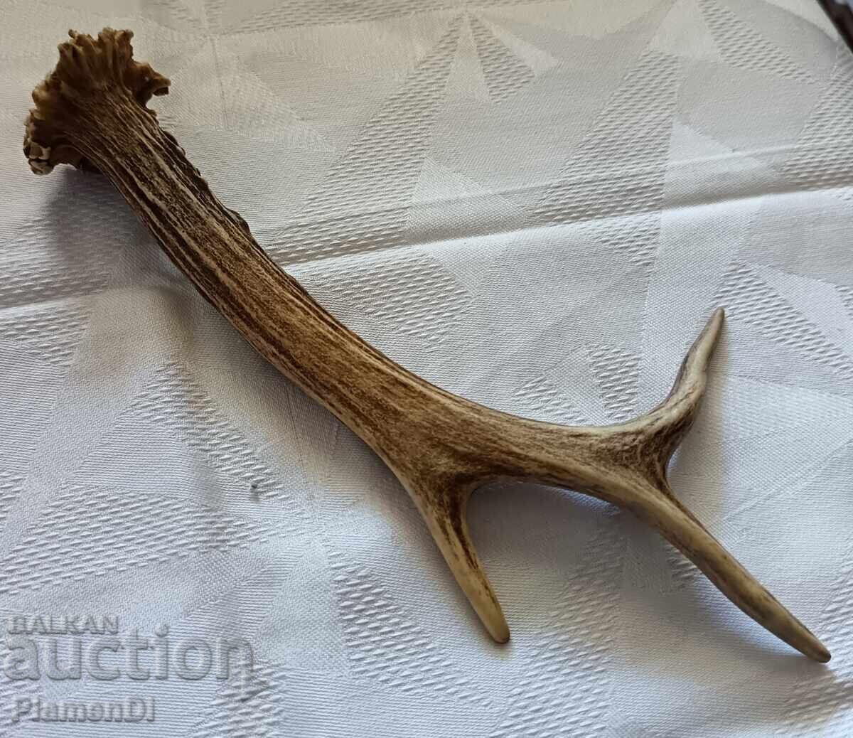 Παράδοση Κέρατο ζαρκαδιού, κέρατο ελαφιού