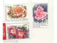 Αμεταχείριστα γραμματόσημα Τριαντάφυλλα 2005 από το Βέλγιο
