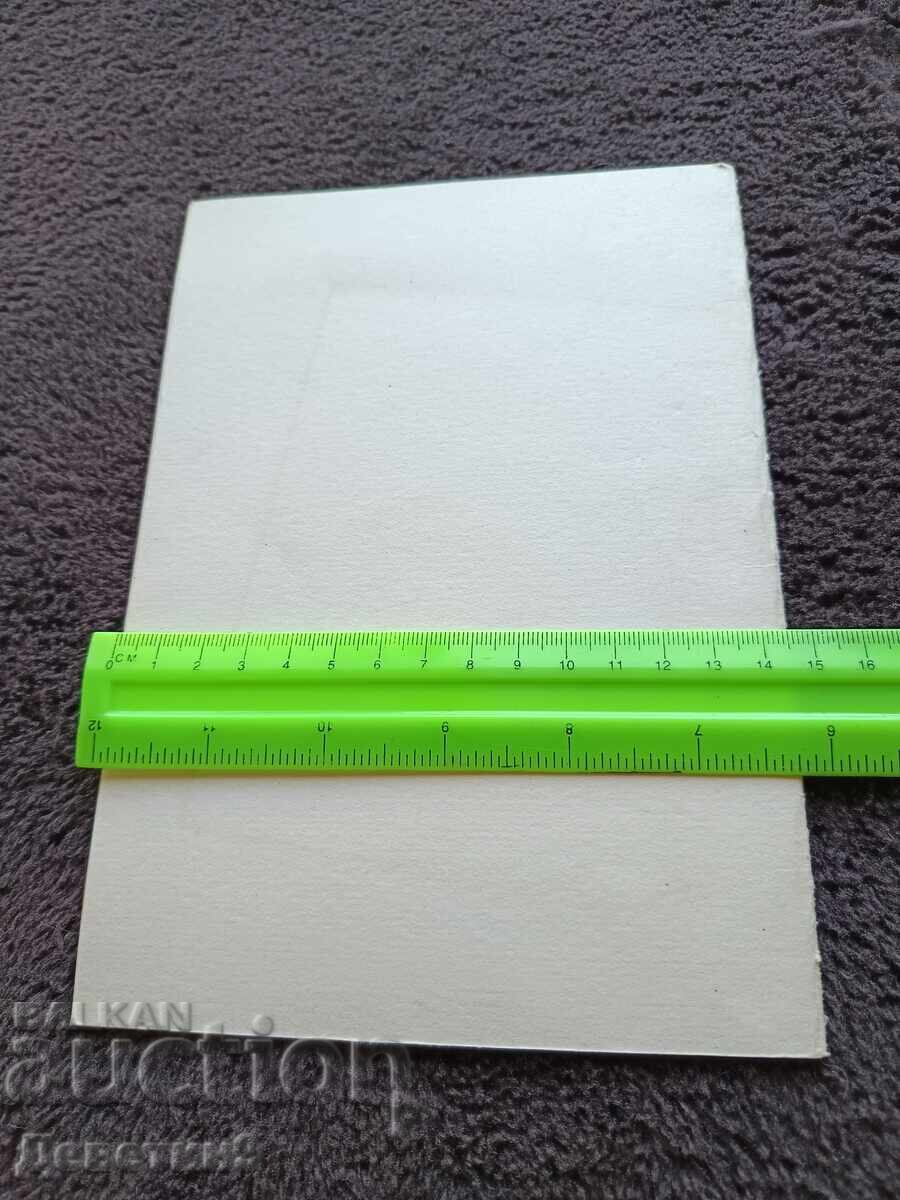Basic Guidelines (Draft) - BTS 1991 with price € 9.00 | 17.60 BGN