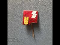 Old enamel badge
