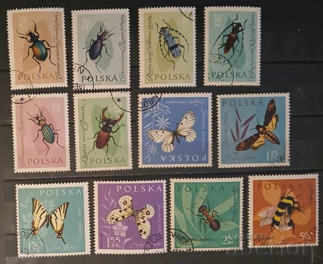 Polonia 1961 Faună/Fluturi Polonia 1961 Faună/Fluturi