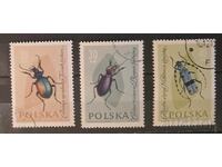 Πολωνία 1961 Πανίδα