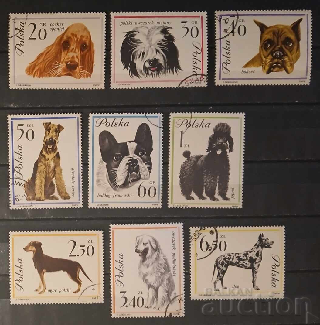 Polonia 1963 Faună/Câini