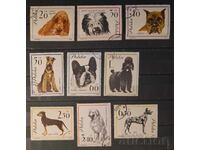 Polonia 1963 Faună/Câini