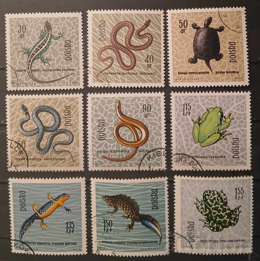 Polonia 1963 Faună