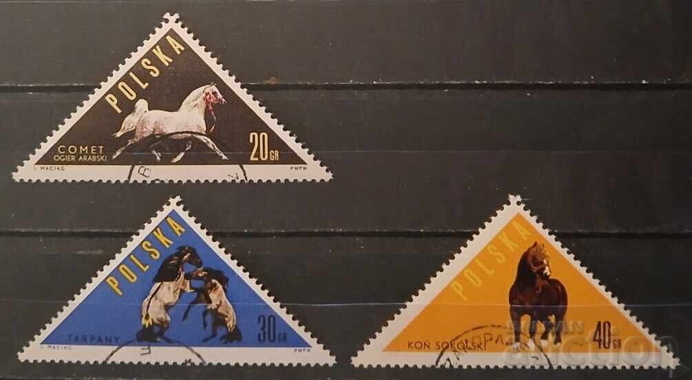 Polonia 1963 Faună/Cai