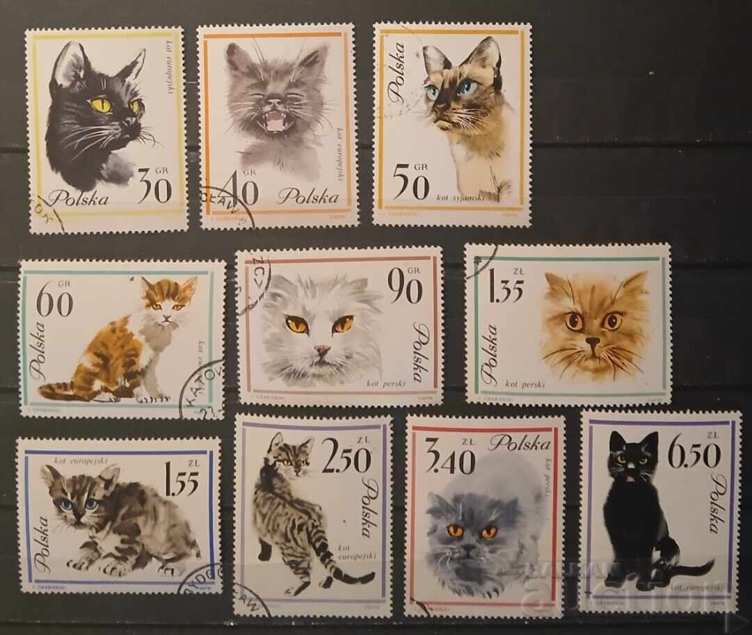 Polonia 1964 Faună/Pisici