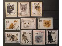 Πολωνία 1964 Πανίδα/Γάτες