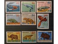 Polonia 1966 Faună