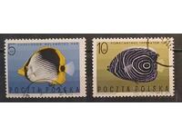 Poland 1967 Fauna/Fish