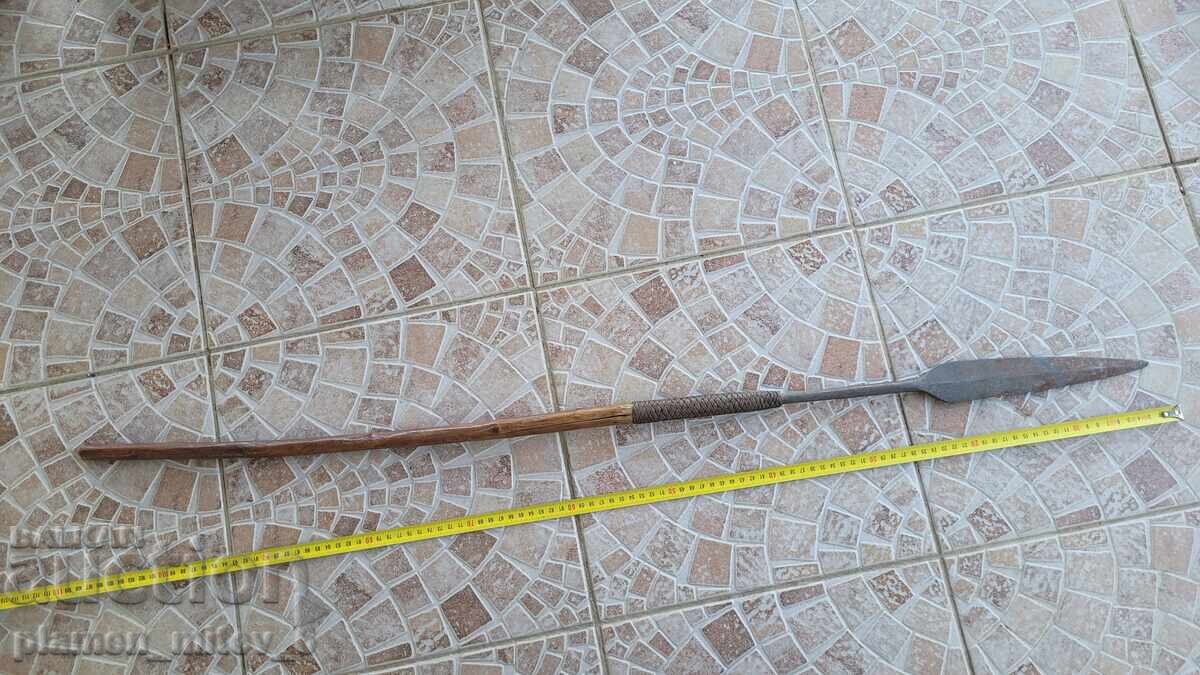 Lance, săgeată, asagai