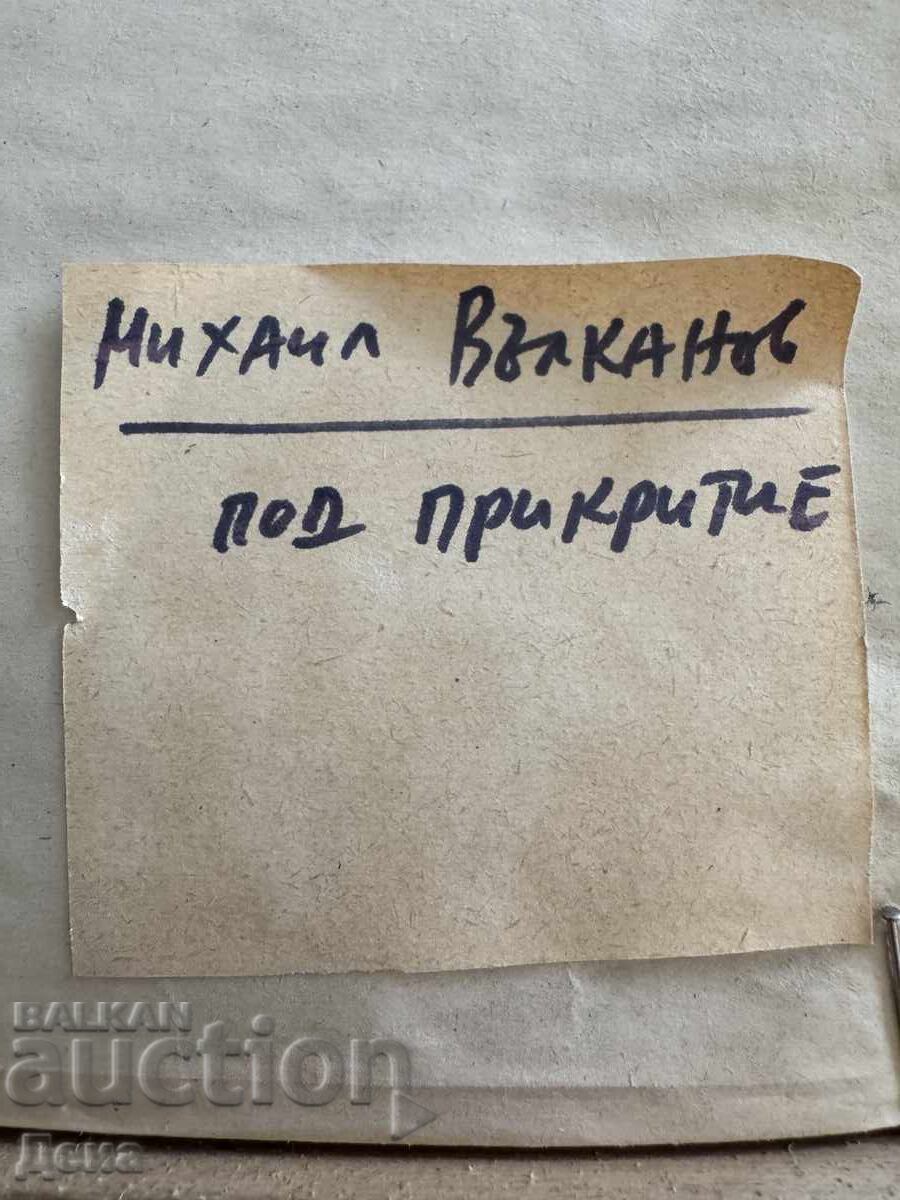 Доставка на Михаил Вълканов картина