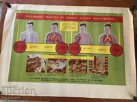 PLANȘĂ EDUCAȚIVĂ MILITARĂ APĂRARE CIVILĂ - 98 X 70 CM