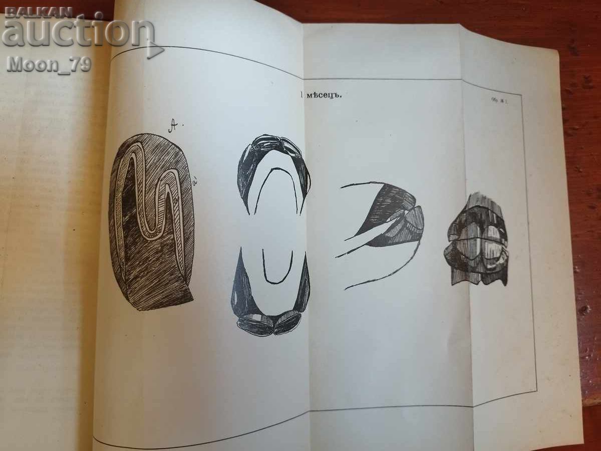 Аукцион Наръчна книга по службата в държавните и окръжни конезаводи Аукцион Наръчна книга по службата в държавните и окръжни конезаводи