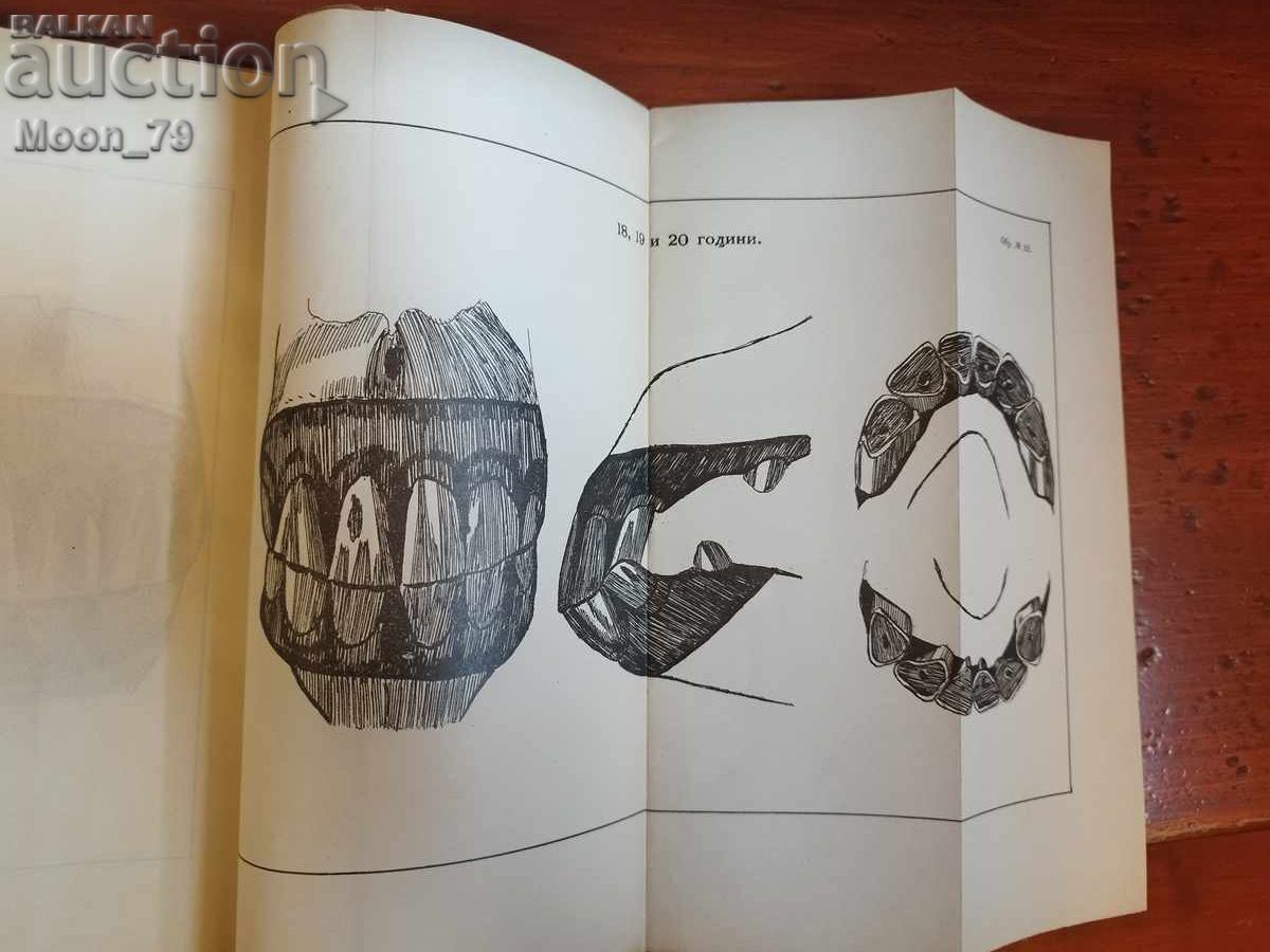 Наръчна книга по службата в държавните и окръжни конезаводи - 5 Наръчна книга по службата в държавните и окръжни конезаводи - 5