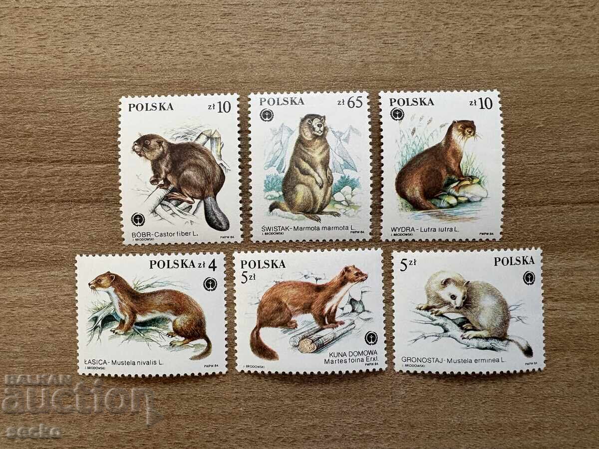 Polonia - Animale protejate cu blană valoroasă (1984) MNH