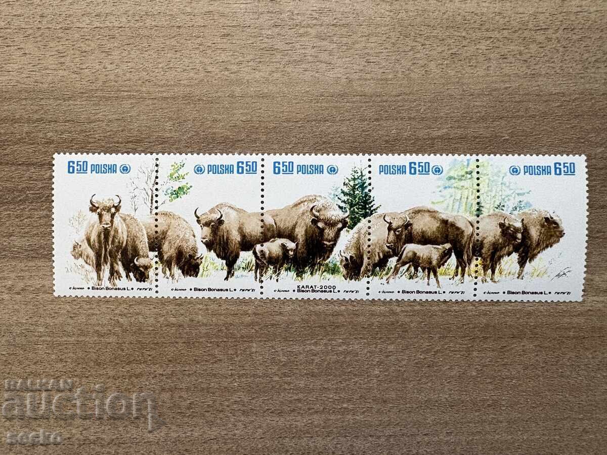 Polonia - Conservarea Naturii - Zimbrii Europeni (1981) MNH