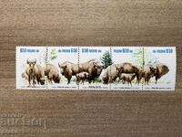 Πολωνία - Διατήρηση της Φύσης - European Bison (1981) MNH