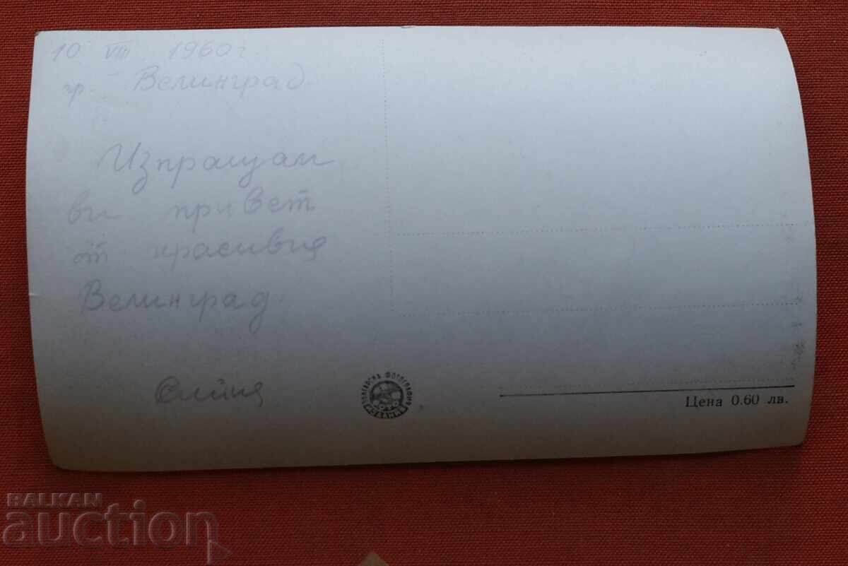 Велинград с цена € 1.00 | 1.96 лв.