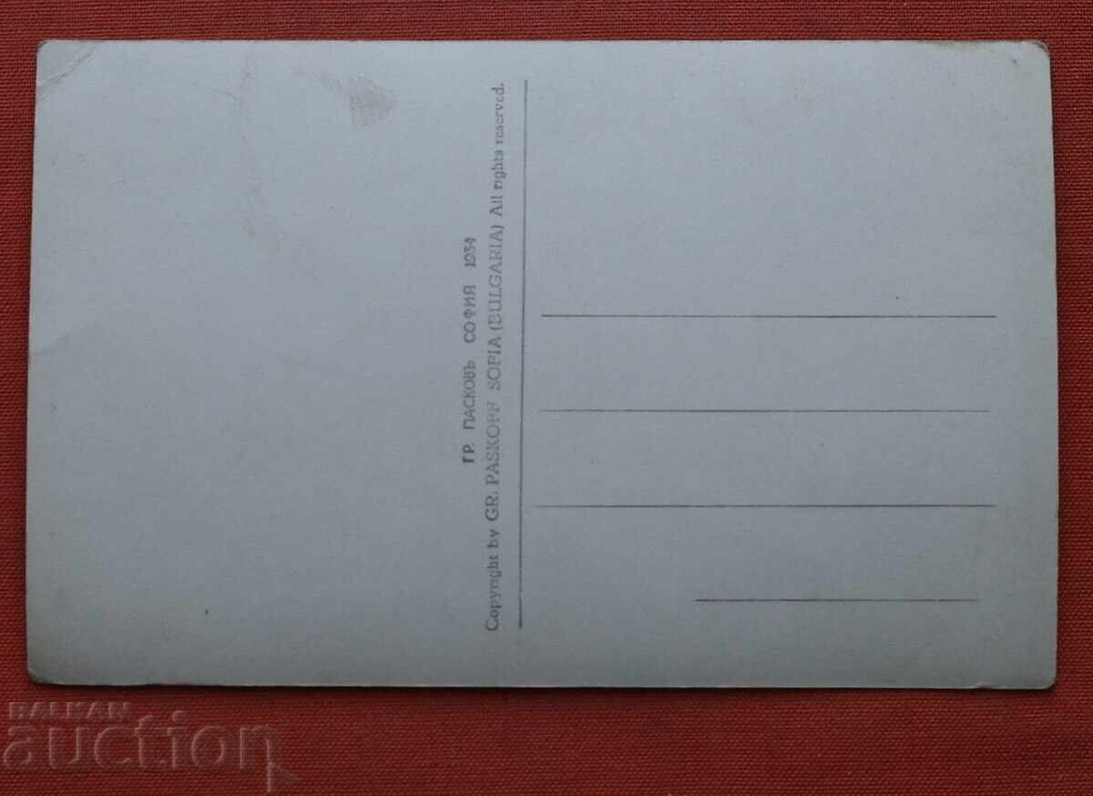 Пасков-Изглед от Копривщица с цена € 3.00 | 5.87 лв.