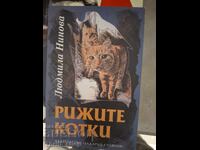 Lyudmila Ninova's ginger cats