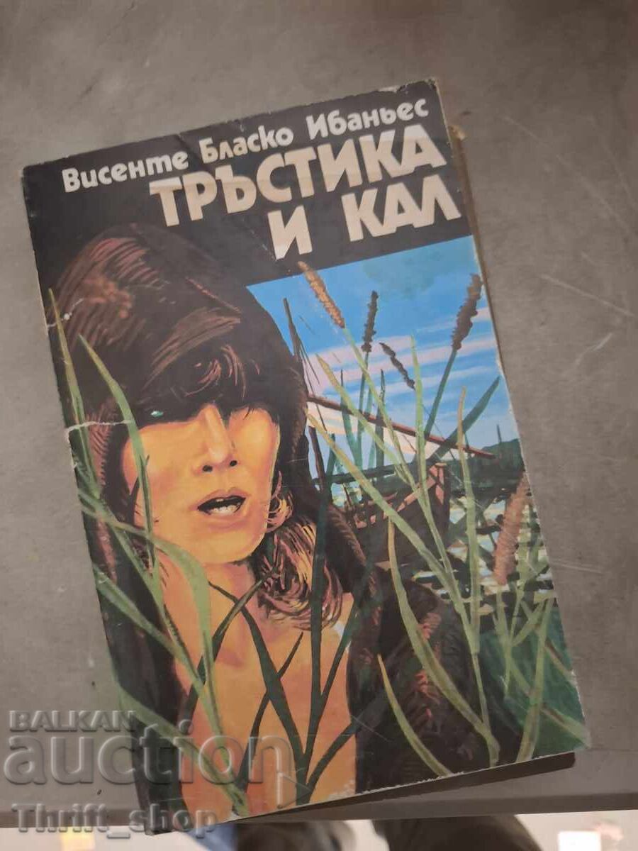 Тръстика и кал Висенте Бласко Ибаньес