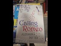 Apel către Romeo Alexandra Potter