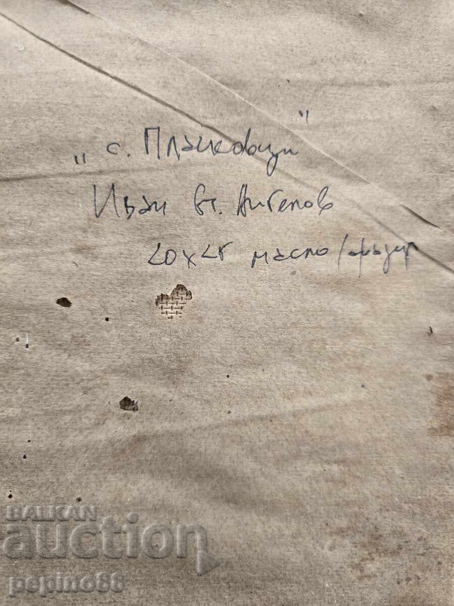 B.Z.Ts Ivan Angelov - Peisaj din satul Plachkovtsi cu preț € 1.00 | 1.96 BGN