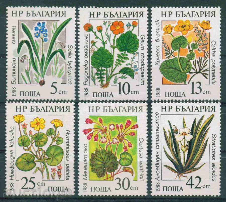 3650 Bulgaria 1988 - APA ** FLORI
