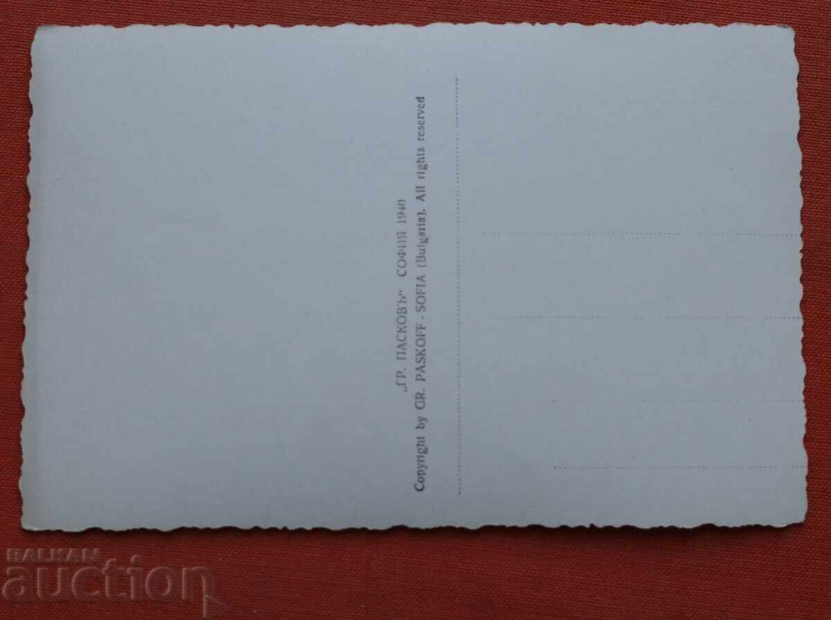 Πασκόφ - Σβίλεγκραντ - Νερόμυλος με τιμή € 20.00 | 39.12 BGN