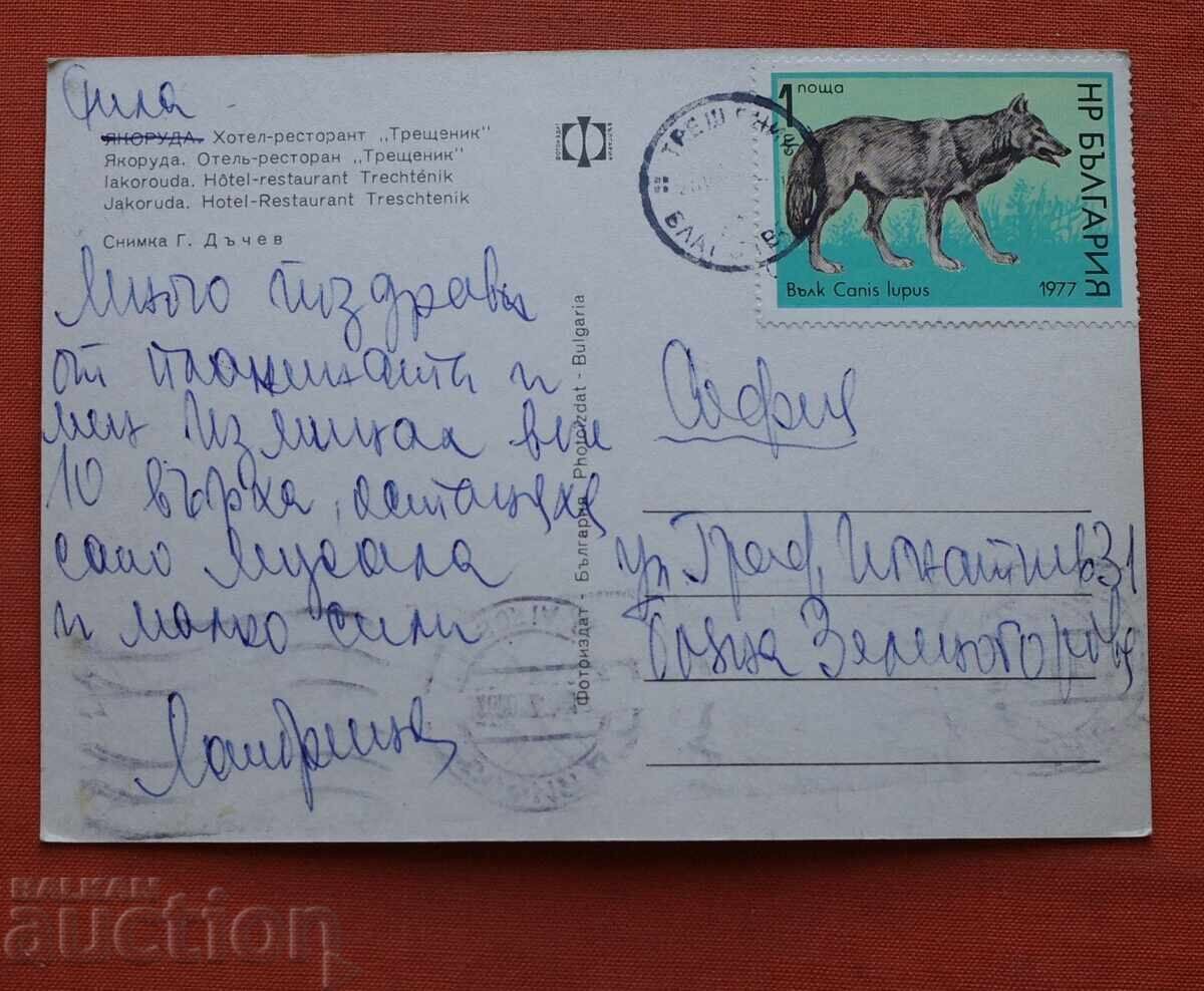 Iakoruda-Hotel Treshtenik-De călătorie cu preț € 1.00 | 1.96 BGN