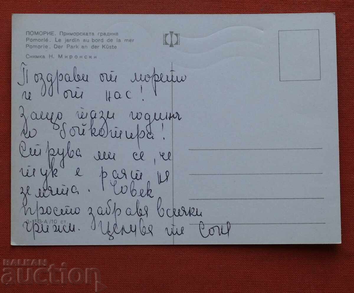 Πομόριε με τιμή € 0.50 | 0.98 BGN
