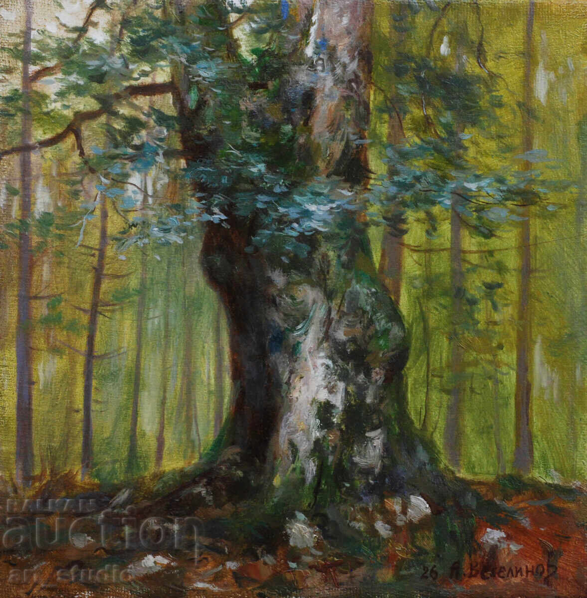 Το παλιό δέντρο - ελαιογραφία