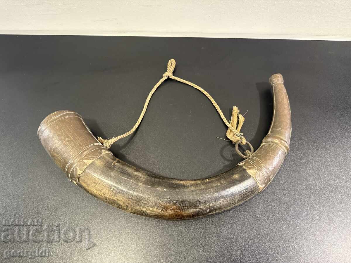 Large authentic horn powder flask. No. 8141 - 5