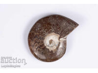 Amonit 11.8g 35mm
