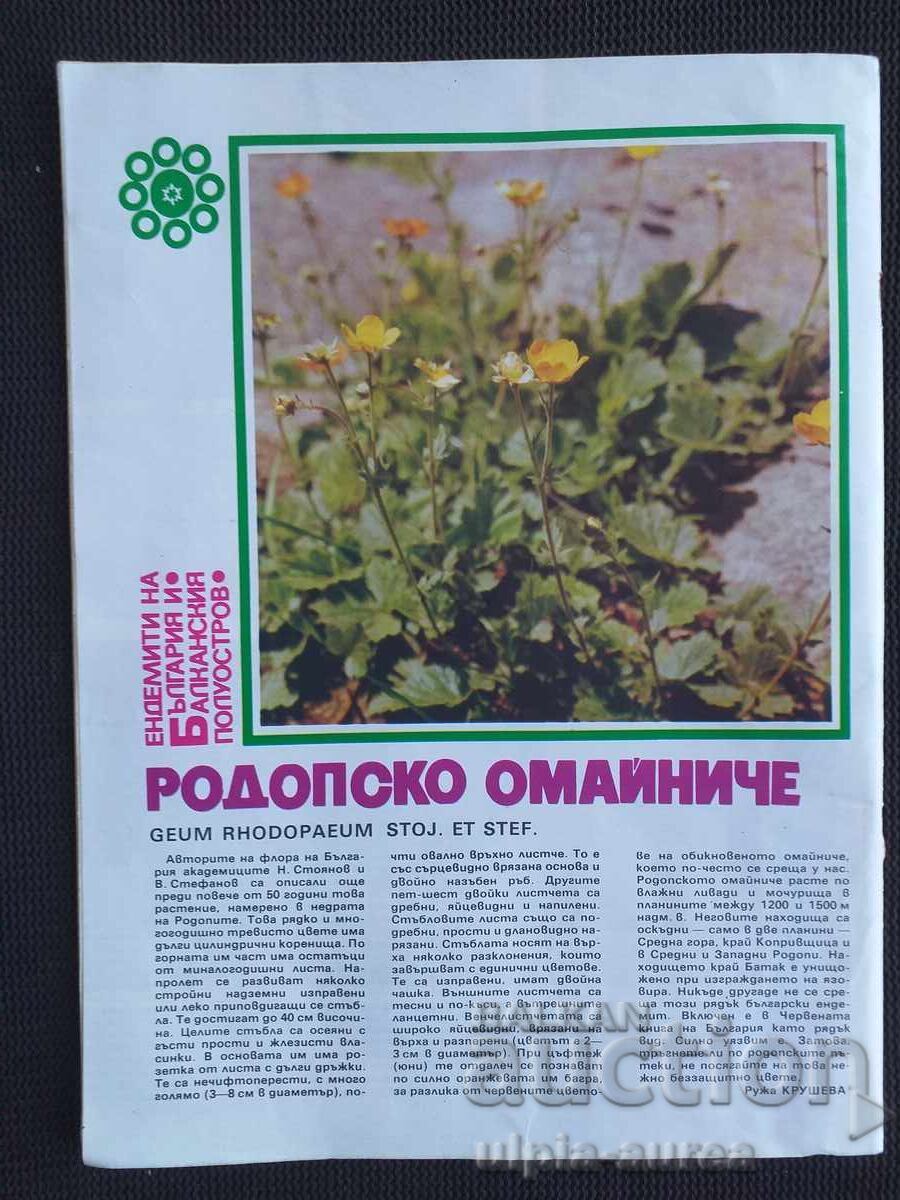 Livrarea 1987 TURIST