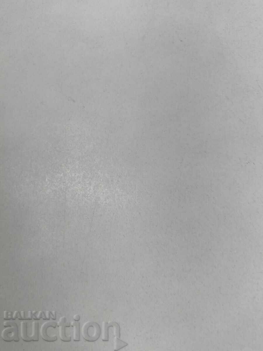 VRABCHE SUPLIMENT AL REVISTEI DETSKA RADOST NUMĂRUL 4 - 6